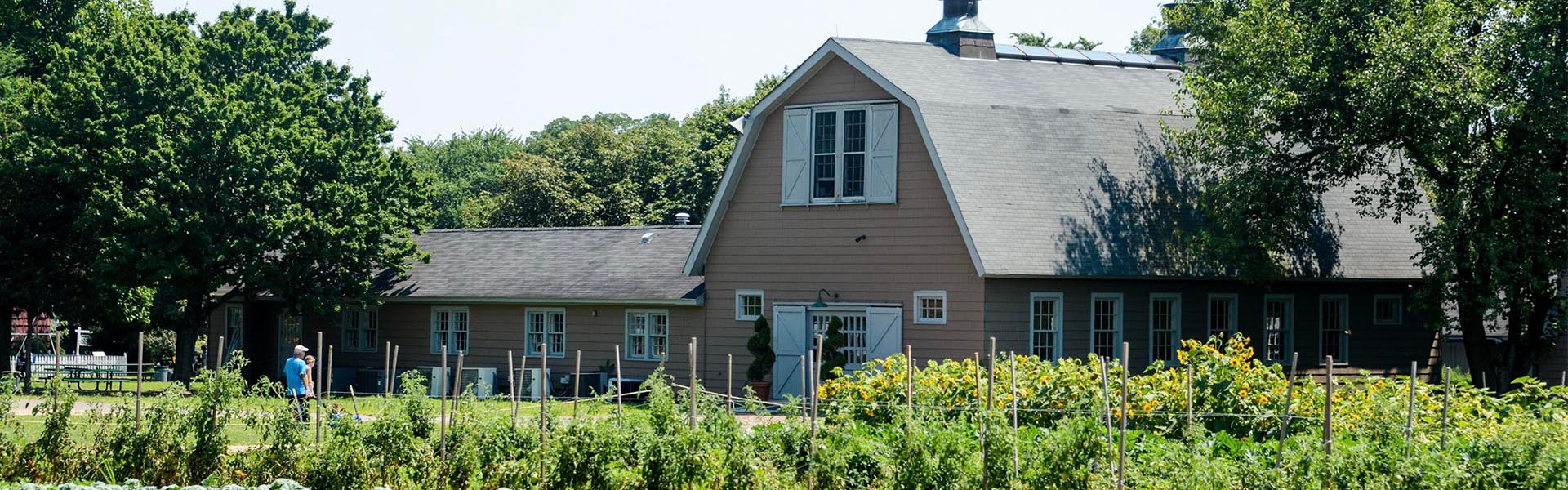 Queens County Farm