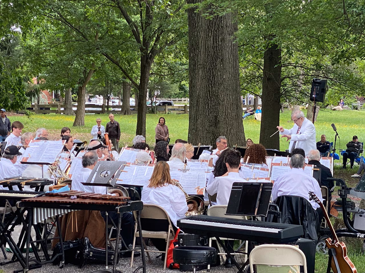 Group of people in white shirts playing instruments in a park